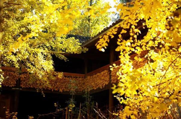 在最美的季节遇见你 PA旗舰厅(中国区)官方网站-PA PlayAce
“上山下海”体验行