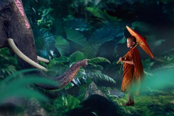 在最美的季节遇见你 PA旗舰厅(中国区)官方网站-PA PlayAce
“上山下海”体验行