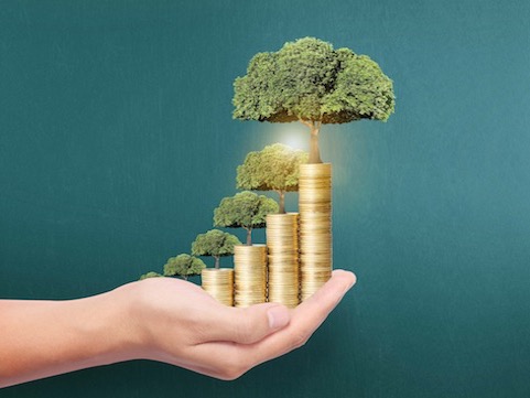 1547974164303061.jpg 1601547971852_.pic.jpg